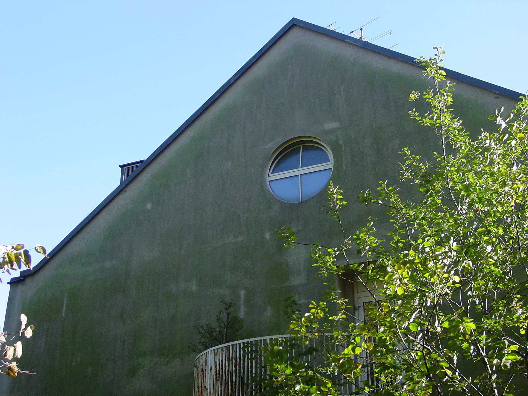 Algen und Pilze an Fassade