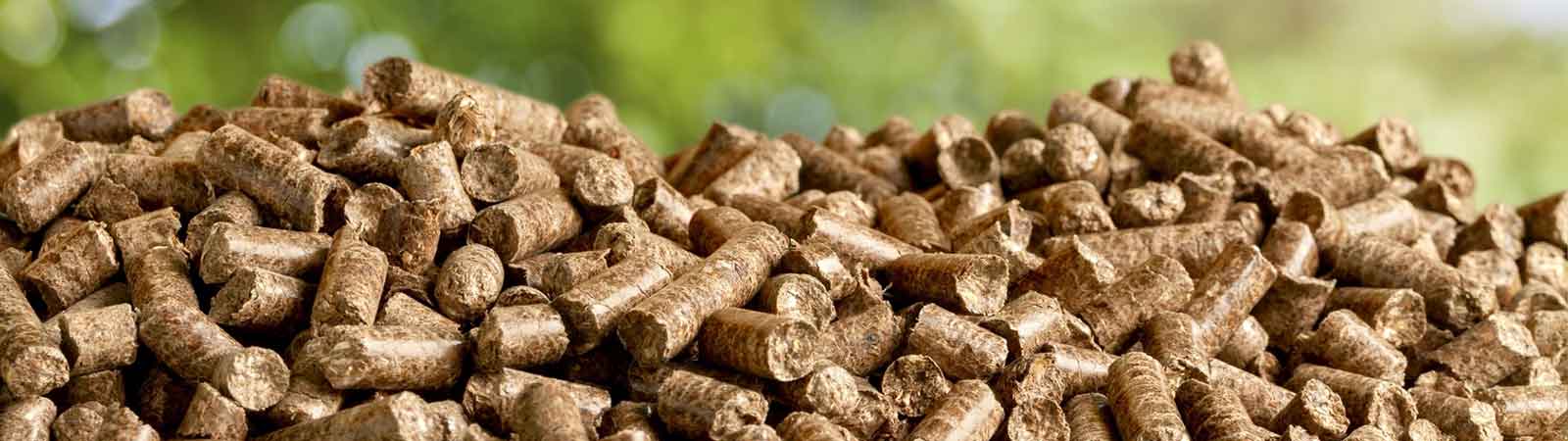 Pellets: Saubere Energie aus Sägemehl